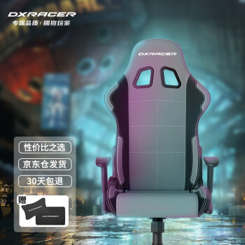 迪锐克斯（DXRACER）F01电脑椅 电竞椅人体工学椅网布办公椅靠背椅家用转椅 灰黑