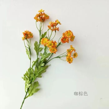 小雛菊花束客廳假雛菊擺設菊花乾花花朵擺件 奶油洋甘菊橘色(30朵花)