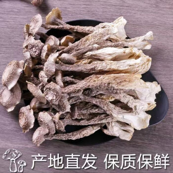 鹿茸菇乾貨500g 福建土特產鹿茸菇香菇新貨鹿茸菇250g 高品質鹿茸菇