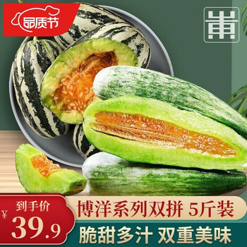 脆甜多汁 现货博洋9号甜瓜 现摘羊角蜜瓜 甜瓜 山东馆 博洋双拼 5斤装