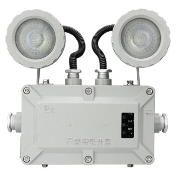 通明电器 TORMIN TM-ZFZD-E6W-BC5200 消防应急照明灯具/防爆应急灯