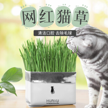 伊派斯elipex Elipex 猫草水培猫薄荷猫草种子种植套装无土壤猫草吐毛球猫咪零食小麦草袋装猫草套装 图片价格品牌报价 京东