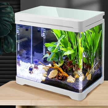 淘歌 Tg 鱼缸 淘歌 Tg 鱼缸水族箱免换水桌面鱼缸金鱼缸客厅生态鱼缸客厅小型 水草玻璃鱼缸白色t30 30 6 21 3 35cm 行情报价价格评测 京东