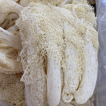 简装食用竹笙 古田特产竹荪竹笙 火锅煲汤农产品竹荪