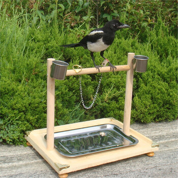 实木站架喜鹊八哥鹩哥伯劳红嘴蓝雀山鸦松鸦站架息架站杠 原木站杆的