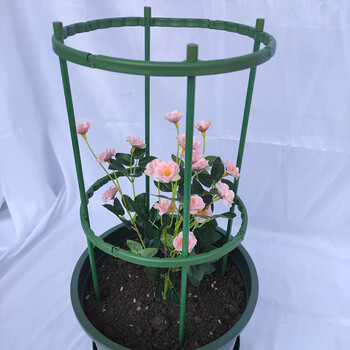 蟹爪兰支架花盆花支架蟹爪兰花架多肉太阳花支撑防倒伏花支柱月季护叶