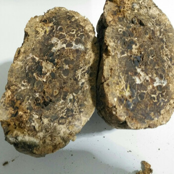 东北盘酱酱引子 东北大酱 制手工大酱引子 3斤(发酵9斤豆子)