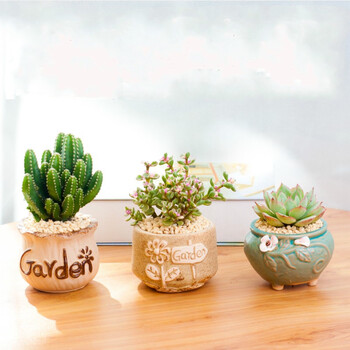 多肉植物盆栽肉肉植物花办公室内桌面新手新款组合小精品雨露套餐创意绿植花卉防辐射带含盆diy盆景恋花谷北欧3盆组合 植物可自选 图片价格品牌报价 京东