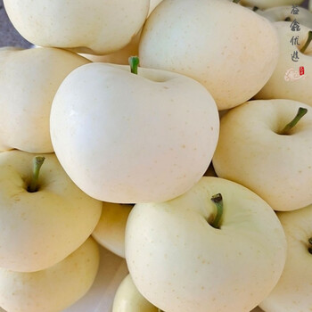 山东奶油苹果新鲜59斤白苹果整箱牛奶鲜果孕妇营养水果当季批发45斤