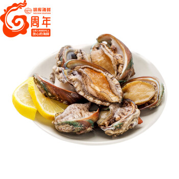 【活鲜】味库京选 鲍鱼 鲜活15-18个装/约1斤 中号 火锅食材 海鲜水产 聚会款