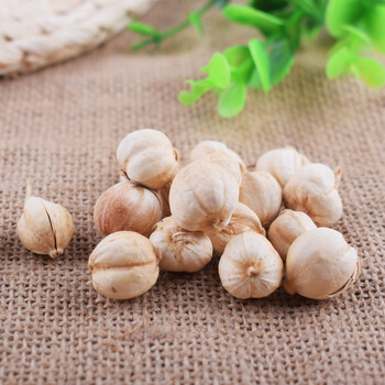 白蔻白豆蔻白扣白寇仁50g非中药材 茶 泡酒 白寇