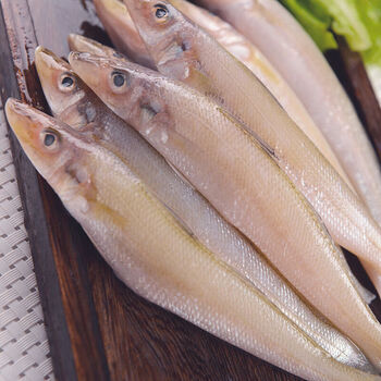 新鲜沙丁鱼冷冻批发鲜活速冻沙钻鱼国产海鲜沙尖鱼烧烤2斤约30条顺丰
