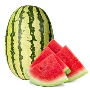 【京鲜到家】【大名馆】核心产区中卫富硒硒砂瓜 砂甜石缝西瓜 14~16