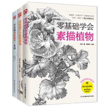 零基础学会素描--植物+静物+风景（套装全3册）
