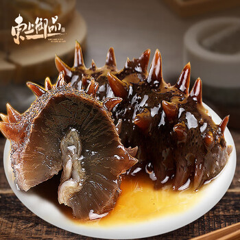 东上御品海参即食大连鲜活野生海生刺参干货礼盒单个装 5斤 16-19只/1