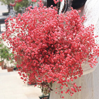 花带花瓶天然风干客厅装饰摆件sn5738超大束红色满天星不含花筒干花包