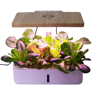 家庭智能种菜机 菜多多智能种植机水培水耕蔬菜家庭室内无土栽培设备