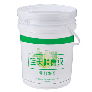 ASMES(安盾) ASW610防霉抗藻全天候高级外墙涂料白色 20kg