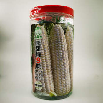 天农9号玉米品种简介图片
