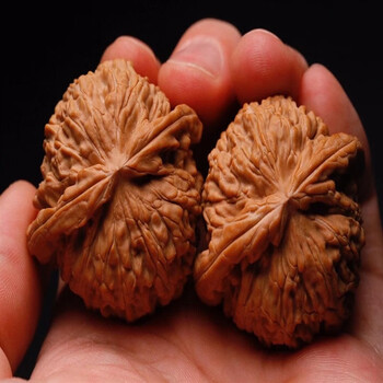 舒墩文玩核桃玩家级矮桩狮子头球儿闷尖白狮子手持把件手串四座楼磨盘