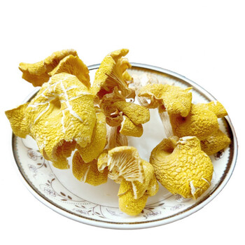 2022新货鸡油菌干货黄丝鸡枞菌云南特产榆黄菌营养菌菇香菇菌类干500g