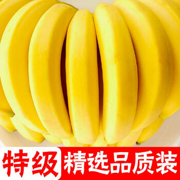 甜云南高山香蕉新鲜水果整箱102斤高山老树香蕉更甜带箱1011斤花皮蕉