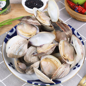 超大蛤蜊鲜活美贝无沙花甲花蛤文蛤鲜活贝类 三斤 一斤