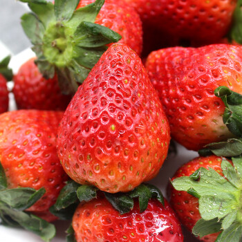 【京鲜配送】草莓新鲜水果整箱奶油草莓甜草莓 1盒 甜草莓