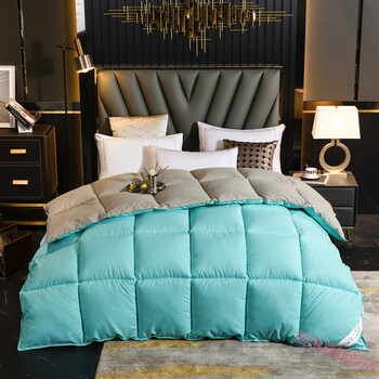 2021新款波司登被95白鹅绒被子冬被10斤加厚保暖鸭绒被芯单人宿舍鹅绒