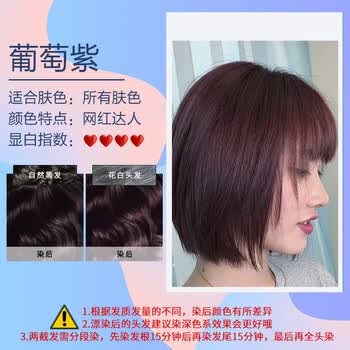 葡萄紫(可盖白发染发工具四件 500ml盒/件