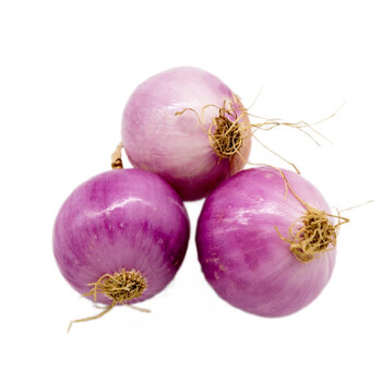 东升农场东升干葱头小红葱头圆葱头150g广州供港蔬菜新鲜配送