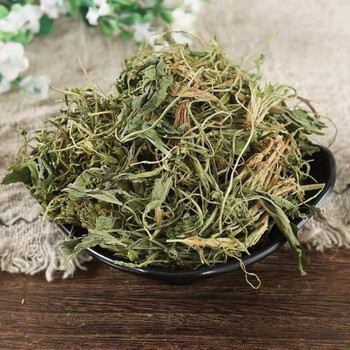 北京同仁堂地丁草中药材野生紫花地丁地丁草茶新鲜干货内廷上用紫花