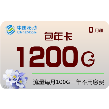 中國移動4g流量卡100g流量200g上網卡19元全國通用300g設備專用wifi卡