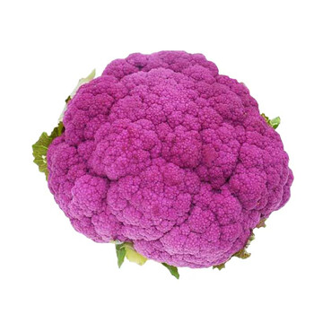 紫色花椰菜种子紫花菜种籽紫色菜花西蓝花露天基地春秋种蔬菜种籽原装方震紫花菜种子100粒 图片价格品牌报价 京东