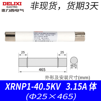 德力西电气（DELIXI ELECTRIC）德力西熔断管 XRNP1-12 高分断能力高压限流熔断器12KV 0.5-1A 熔芯XRNP1-40.5KV 3.15A 体 (