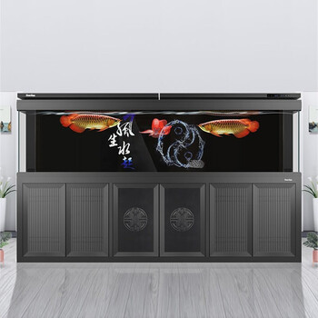 底过滤客厅办公室大型龙鱼缸磨砂黑豪华款18米长x74cm宽wifi遥控变频