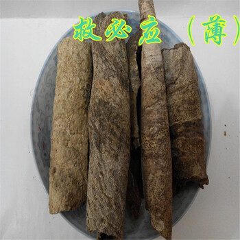药声录(yaoshenglu)中药材薄皮救必应 救必应 薄皮龙胆木自然晒干树皮
