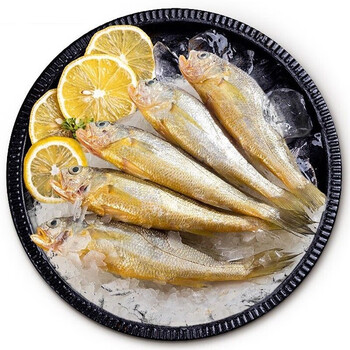 鲜太公现捕新鲜小黄花鱼速冻小黄深海鱼海鲜生鲜鱼类水产 海捕小黄鱼