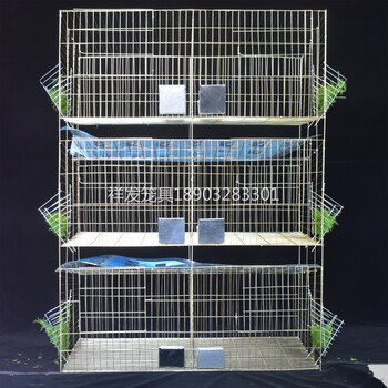 兔笼养兔子的笼子特大号免清粪兔子笼养殖笼兔舍三层母兔繁殖笼 加粗6