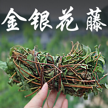 金银花藤干洗澡新鲜忍冬藤中药材金银花藤腾滕千金藤 金银花藤干