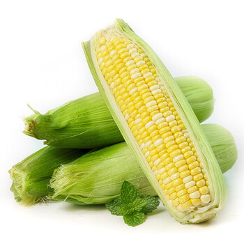 城南堡花云南 水果玉米甜脆玉米 新鲜蔬菜 产地直发 水果玉米9斤