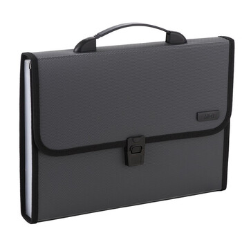 晨光(m&g) 文具a4/12格文件包 办公手提资料包风琴包 学生试卷