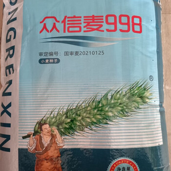 众信麦998原种级小麦种矮杆大穗超双国审抗冻抗倒小麦种子原装整袋25