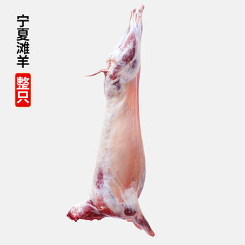 正宗新鲜宁夏盐池散养滩羊羔子1540斤半羊整只全羊现宰鲜羊肉羔羊15斤