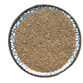 芹菜籽500g芹菜籽粉芹菜子芹菜籽袋泡茶250克泡水做枕头种子芹菜籽