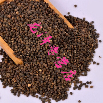 菜芙蓉种子野芙蓉 芙蓉花保健野菜黄秋葵种子 金花葵种子吃花吃叶