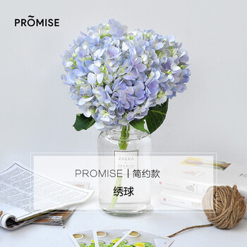 普劳玫斯新品大绣球花束鲜花速递紫阳花家庭鲜花多色可选生日礼物家庭鲜花浅蓝色不含花瓶 图片价格品牌报价 京东