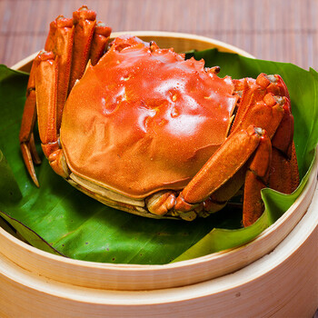 万澳阳澄湖大闸蟹礼盒现货鲜活螃蟹六月黄 3.0-3.2两 全母蟹 10只