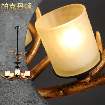 帕克丹顿 欧式创意个性别墅吊灯 复古美式乡村田园客厅餐厅书房酒吧台新鹿角吊灯 5头单层