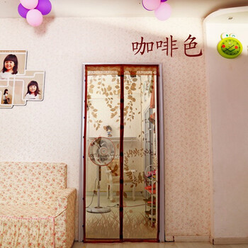 
                                        菠萝蜜 免穿磁性纱门 防蚊门帘窗纱 新款门帘加密 磁性软纱门 免穿防蚊子门爱情鸟纱门 绿色 80*200                